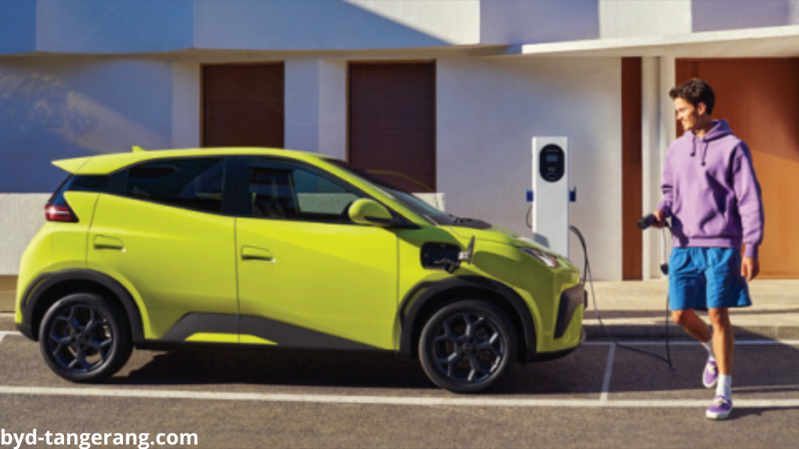 Fast Charging BYD ATTO 1
