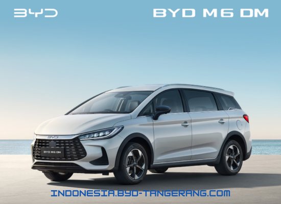 BYD M6 DM